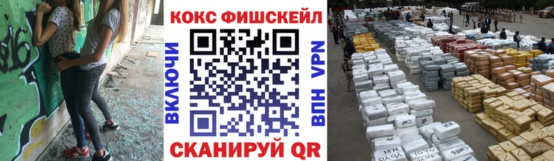 Купить закладки  Новороссийск  COCAIN Fish Scale 