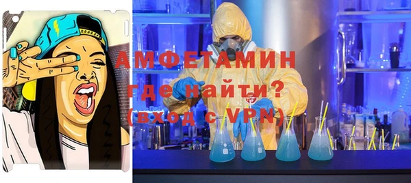 шишки Магас