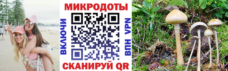 Купить где  Новороссийск  Галлюциногенные грибы мухоморы 